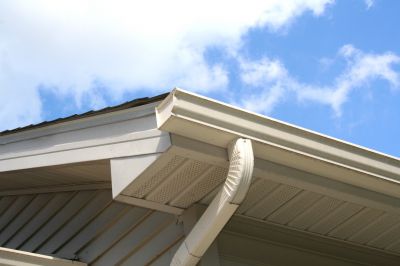Clean Edge Gutter